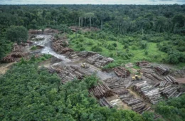 Fávaro assume demandas do agro e pressiona Fazenda por crédito a desmatadores