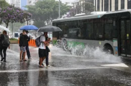 Tempo segue instável no Centro-Sul; Grande SP pode ter temporais